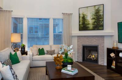 Napoleon Altitude 36 Direct Vent Gas Fireplace - A36NTE