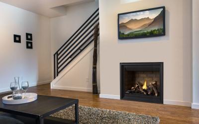 Napoleon Altitude 42 Direct Vent Gas Fireplace - A42NTE