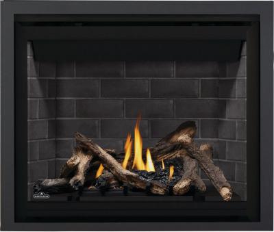 Napoleon Altitude 42 Direct Vent Gas Fireplace - A42NTE