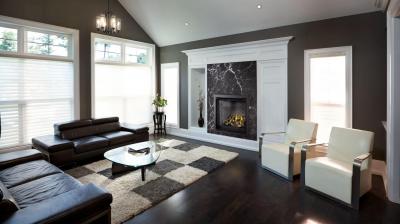 Napoleon Altitude X 36 Direct Vent Gas Fireplace - AX36NTE-1