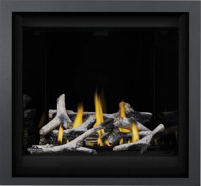 Napoleon Altitude X 36 Direct Vent Gas Fireplace - AX36NTE-1