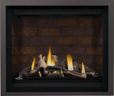 Napoleon Altitude X 42 Direct Vent Gas Fireplace - AX42NTE-1