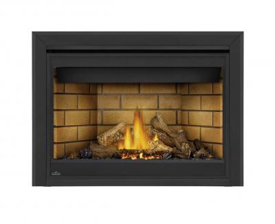 Napoleon Ascent 46 Direct Vent Fireplace - B46NTRE
