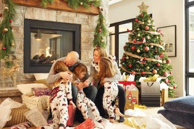 Napoleon Ascent Multi-View See Through Log Set Direct Vent Gas Fireplace - BHD4STN