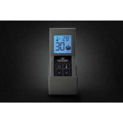 Napoleon Ascent Multi-View See Through Log Set Direct Vent Gas Fireplace - BHD4STN