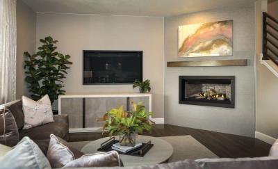 Napoleon Ascent Linear 42 Direct Vent Gas Fireplace - BL42NTE