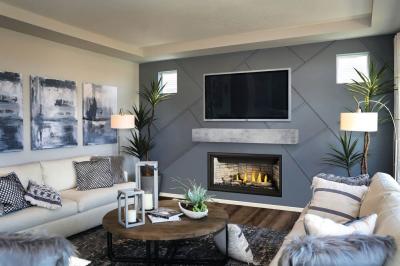 Napoleon Ascent Linear Premium 42 Direct Vent Gas Fireplace - BLP42NTE