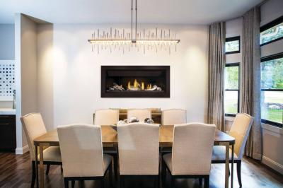 Napoleon Ascent Linear Premium 46 Direct Vent Gas Fireplace - BLP46NTE