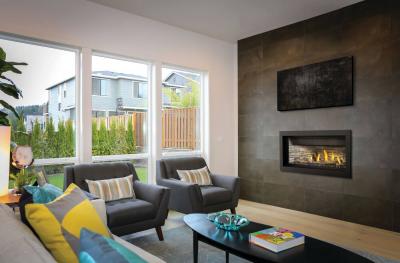 Napoleon Ascent Linear Premium 46 Direct Vent Gas Fireplace - BLP46NTE