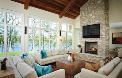 Napoleon Elevation 42 Direct Vent Gas Fireplace - E42NTE