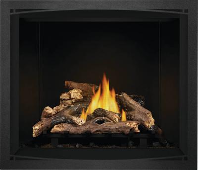 Napoleon Elevation 42 Direct Vent Gas Fireplace - E42NTE
