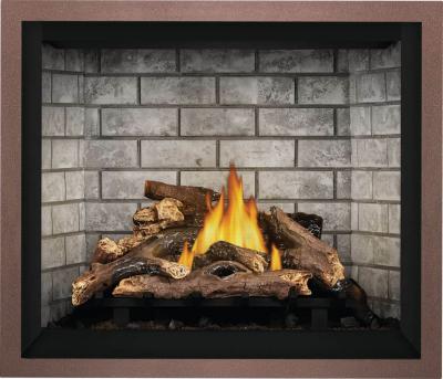 Napoleon Elevation 42 Direct Vent Gas Fireplace - E42NTE