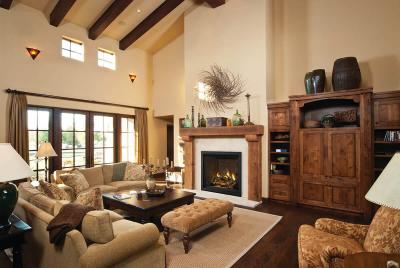 Napoleon Elevation X 36 Direct Vent Gas Fireplace - EX36NTEL