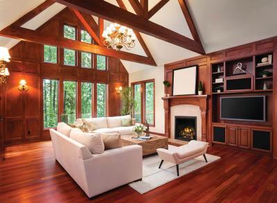 Napoleon Elevation X 36 Direct Vent Gas Fireplace - EX36NTEL