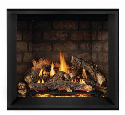 Napoleon Elevation X 36 Direct Vent Gas Fireplace - EX36NTEL