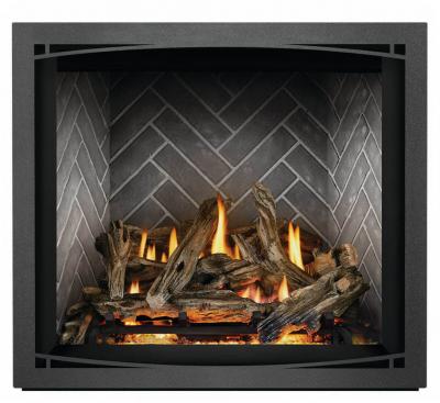 Napoleon Elevation X 36 Direct Vent Gas Fireplace - EX36NTEL