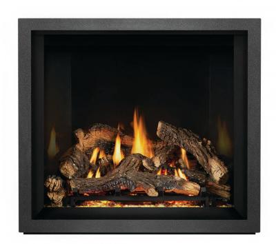 Napoleon Elevation X 36 Direct Vent Gas Fireplace - EX36NTEL