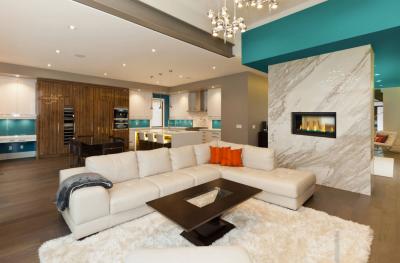 Napoleon Vector 38 See Through Direct Vent Gas Fireplace - LV38N2-1