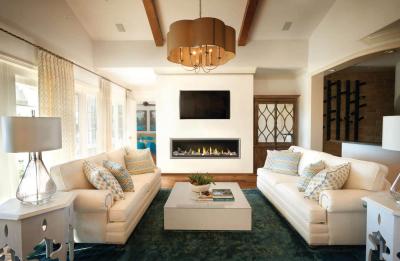 Napoleon Vector 62 Direct Vent Gas Fireplace - LV62N