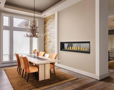 Napoleon Vector 74 See Through Direct Vent Gas Fireplace - LV74N2