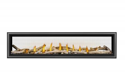 Napoleon Vector 74 See Through Direct Vent Gas Fireplace - LV74N2
