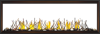 Napoleon Tall Linear Vector 74 See Through Direct Vent Gas Fireplace  - TLV74N2