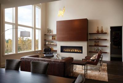 Napoleon Luxuria 62 See Through Direct Vent Gas Fireplace - LVX62N2X-1