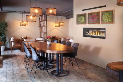 Napoleon Luxuria 50 See Through Direct Vent Gas Fireplace - LVX50N2X-1