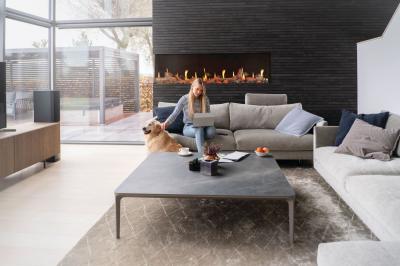 Napoleon Luminex 65 LCD Electric Linear Built-in Fireplace - NEFL65LCD-3SV