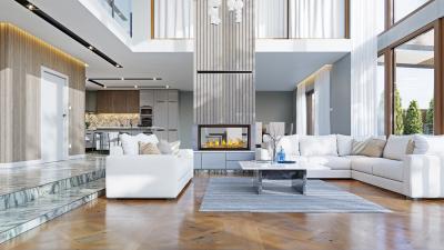 Napoleon Tall Linear Vector 50 See Through with Luminous Logs Fireplace - TLV50LN2