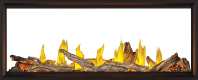 Napoleon Tall Linear Vector 62 See Through Direct Vent Gas Fireplace - TLV62N2