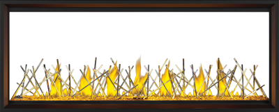 Napoleon Tall Linear Vector 62 See Through Direct Vent Gas Fireplace - TLV62N2