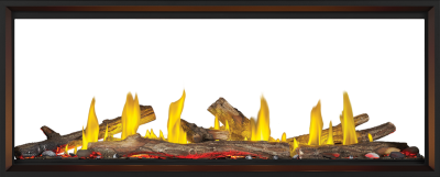 Napoleon Tall Linear Vector 62 See Through Direct Vent Gas Fireplace - TLV62N2