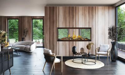 Napoleon Tall Linear Vector 62 See Through Fireplace with Luminous Logs - TLV62LN2