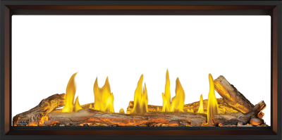 Napoleon Tall Linear Vector 50 See Through Direct Vent Gas Fireplace - TLV50N2