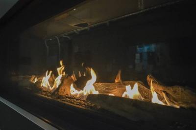 54" Sierra Flame The Stanford 55L Liquid Propane Fireplace - STANFORD-55G-LP-DELUXE