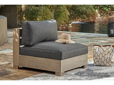 Signature Design by Ashley Citrine Park Armless Chair with Cushion - P660-846