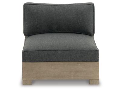 Signature Design by Ashley Citrine Park Armless Chair with Cushion - P660-846