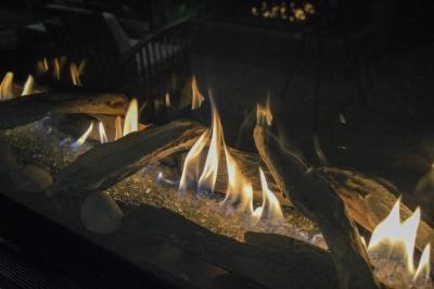 60" Sierra Flame Vienna Linear Style Gas Fireplace - VIENNA-60-NG