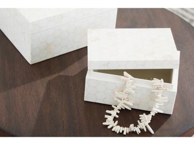 Signature Design by Ashley Aldenburg Box (Set of 2) - A2000690
