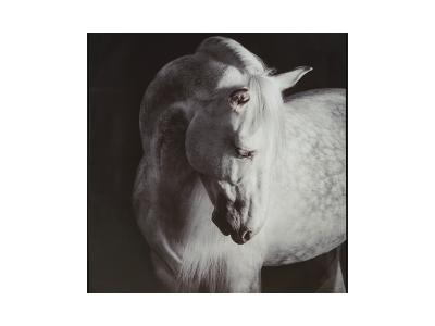 Signature Design by Ashley Archerwick Wall Art - A8000409