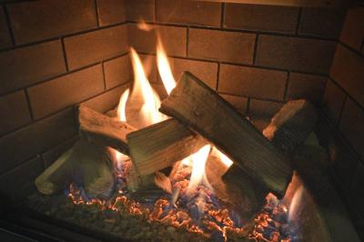 30" Sierra Flame Abbot 30IN Liquid Propane Direct Vent Gas Insert - ABBOT-30BL-DELUXE-LP