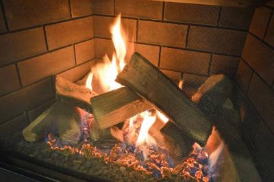 30" Sierra Flame Abbot 30IN Liquid Propane Direct Vent Gas Insert - ABBOT-30BL-DELUXE-LP