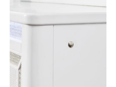 Signature Design by Ashley Chalanna Dresser and Mirror - B822B1