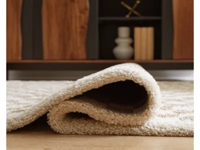 Signature Design by Ashley Karamen Large Rug - R407341