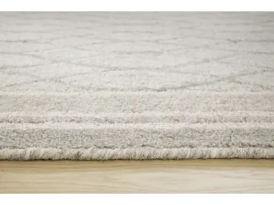 Signature Design by Ashley Wimney Medium Rug - R407282