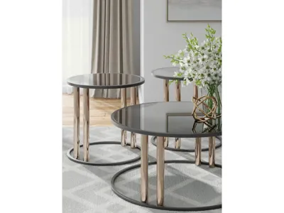 Signature Design by Ashley Hannerly Table (Set of 3) - T219-13