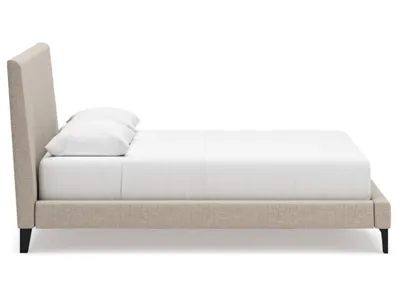 Signature Design by Ashley Cielden Queen Upholstered Bed, Dresser and 2 Nightstands - B1199B20