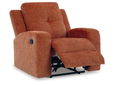 Signature Design by Ashley Danum Recliner - 3880729C