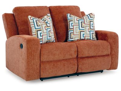 Signature Design by Ashley Danum Reclining Loveseat - 3880786C